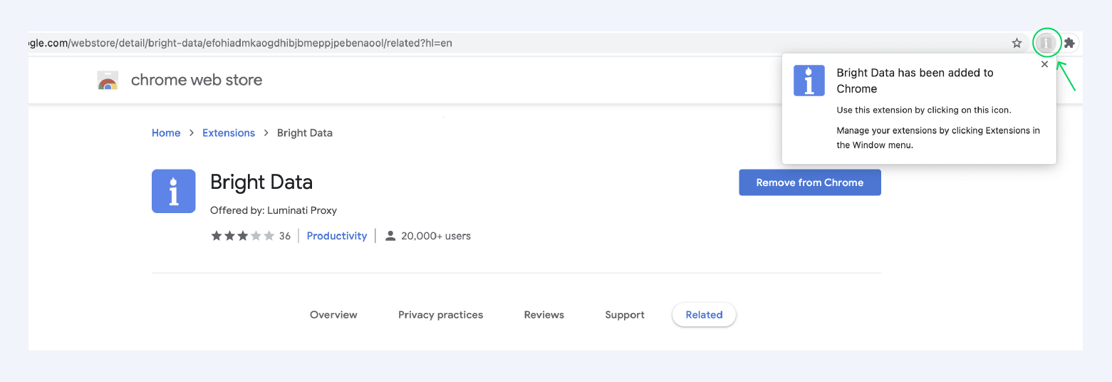 Screenshot of how it looks after you've installed the Bright Data browser extension