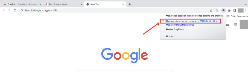 Navegador com configurações FoxyProxy e barra de pesquisa do Google