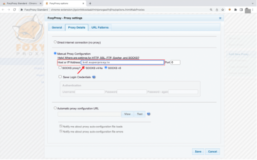 Menu de configurações de proxy na extensão do navegador da web.