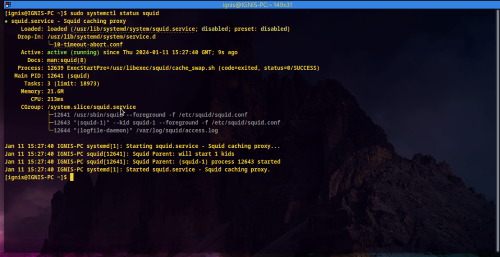 Servidores proxy em Go
