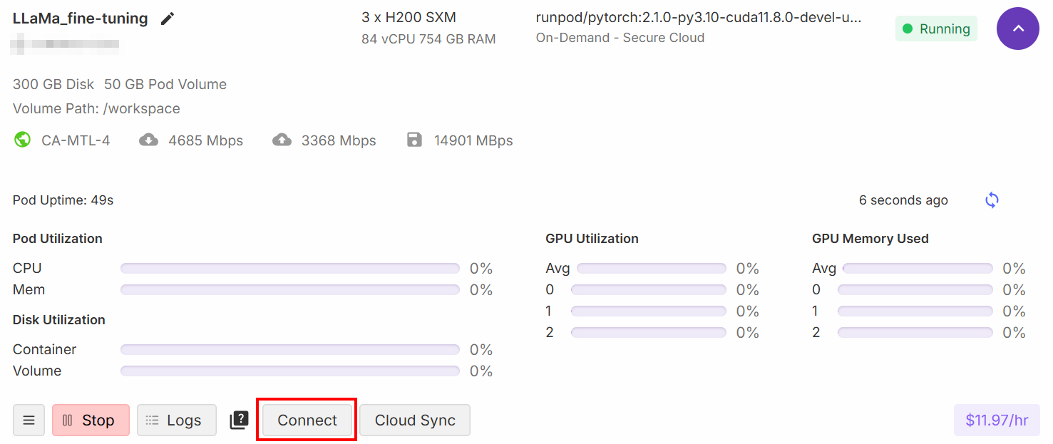 Connect the Pod to a Jupyter Lab notebook