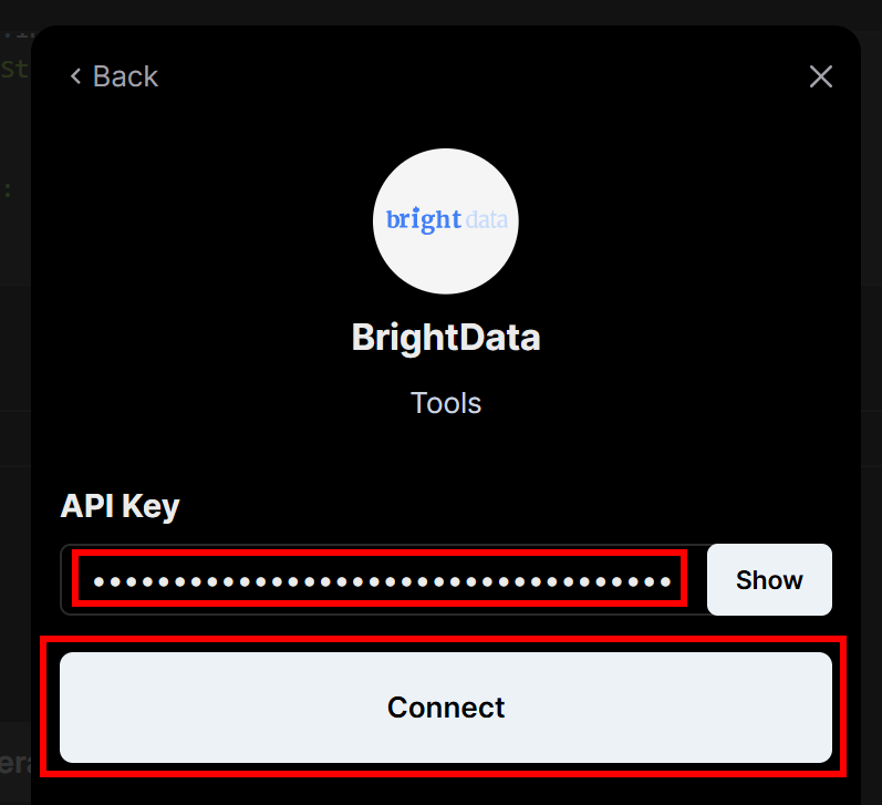 Cole sua chave da API da Bright Data e pressione "Connect" (Conectar)