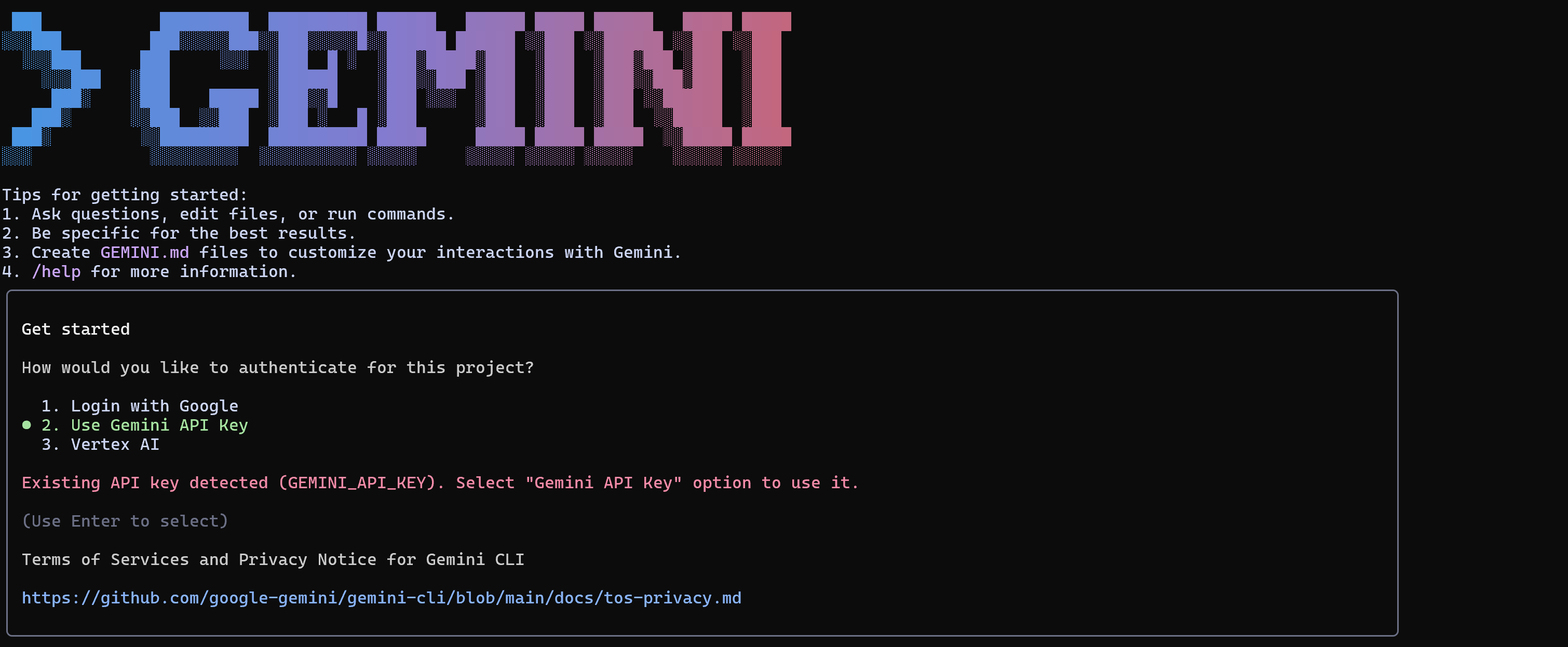 Visualização da autenticação da CLI do Gemini