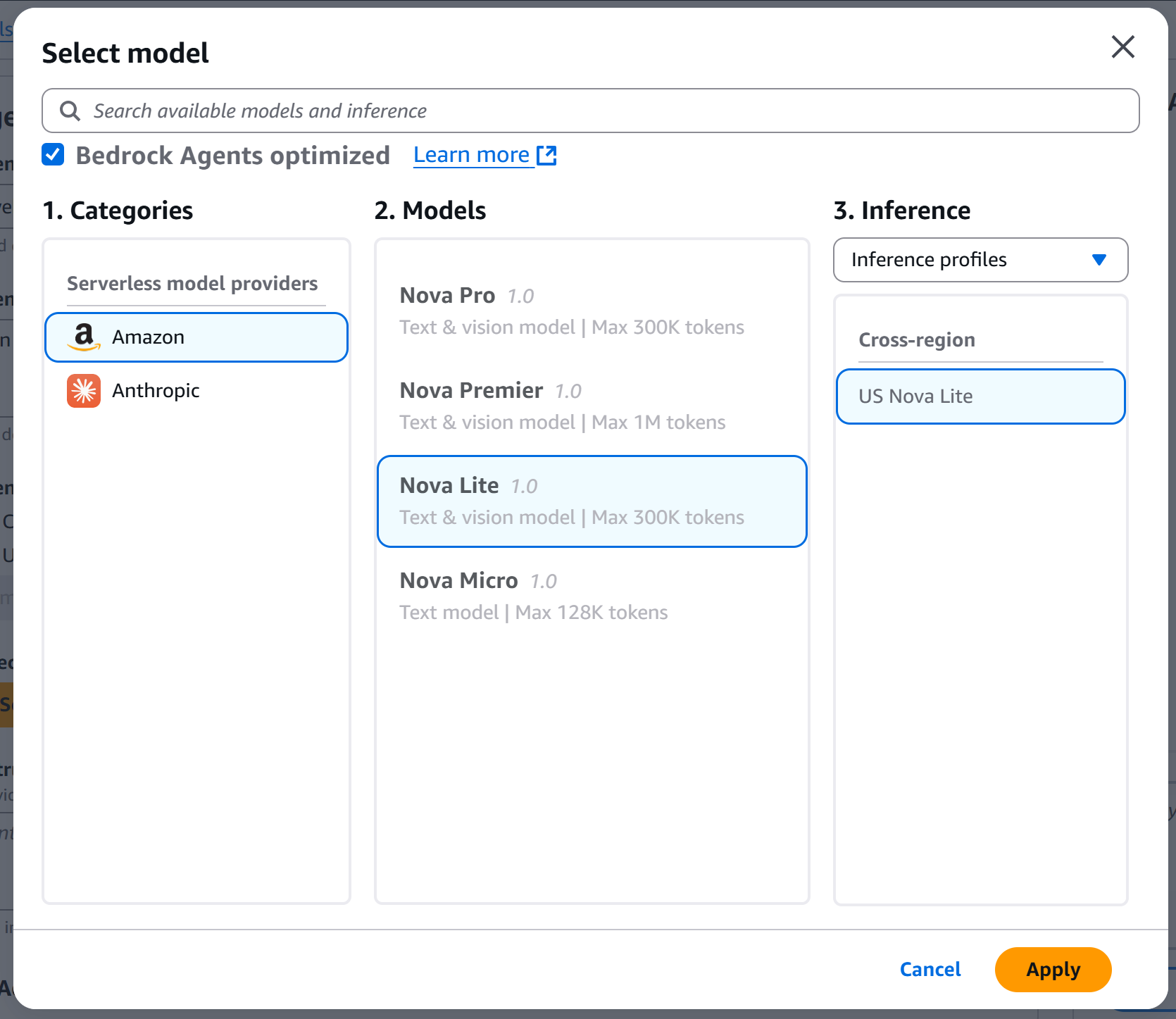 Selecting the “Nova Lite” model